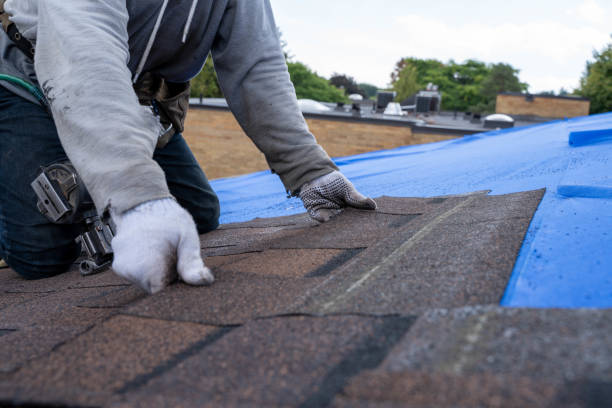 Best Roof Maintenance Services  in Ocean Shores, WA