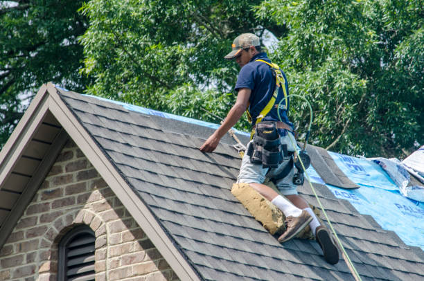 Best Roof Leak Repair  in Ocean Shores, WA